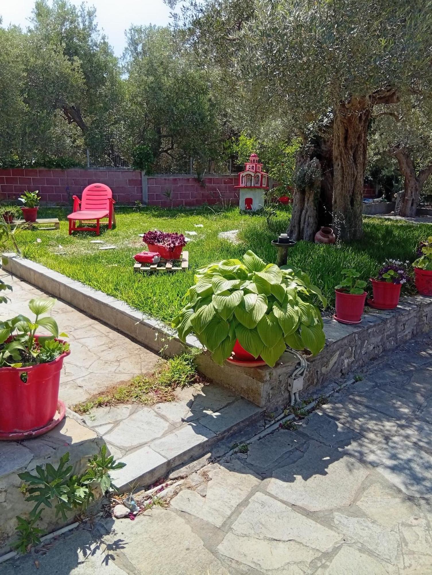 Asimidou * Agia Paraskevi (Thrace)