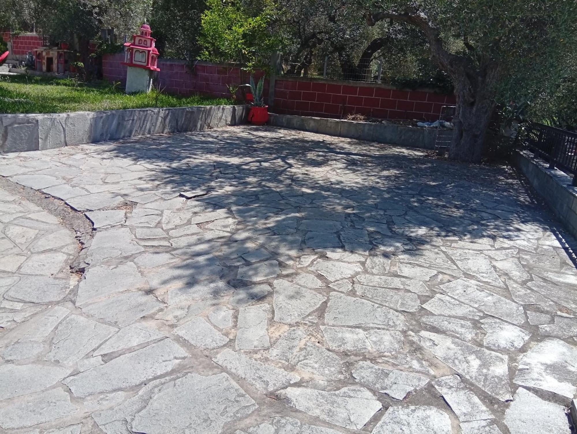 Asimidou * Agia Paraskevi (Thrace)