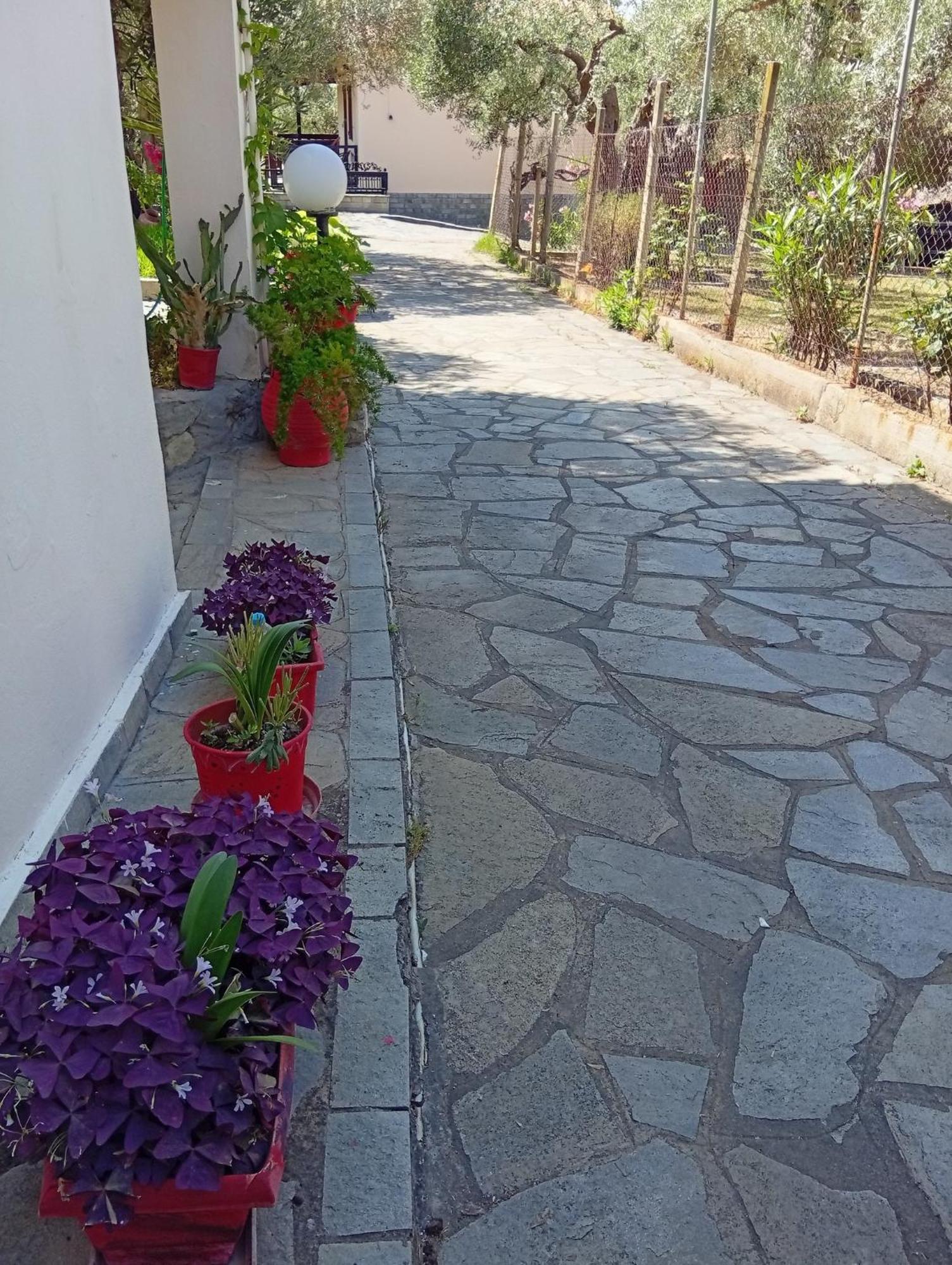 Asimidou בית נופש Agia Paraskevi (Thrace)