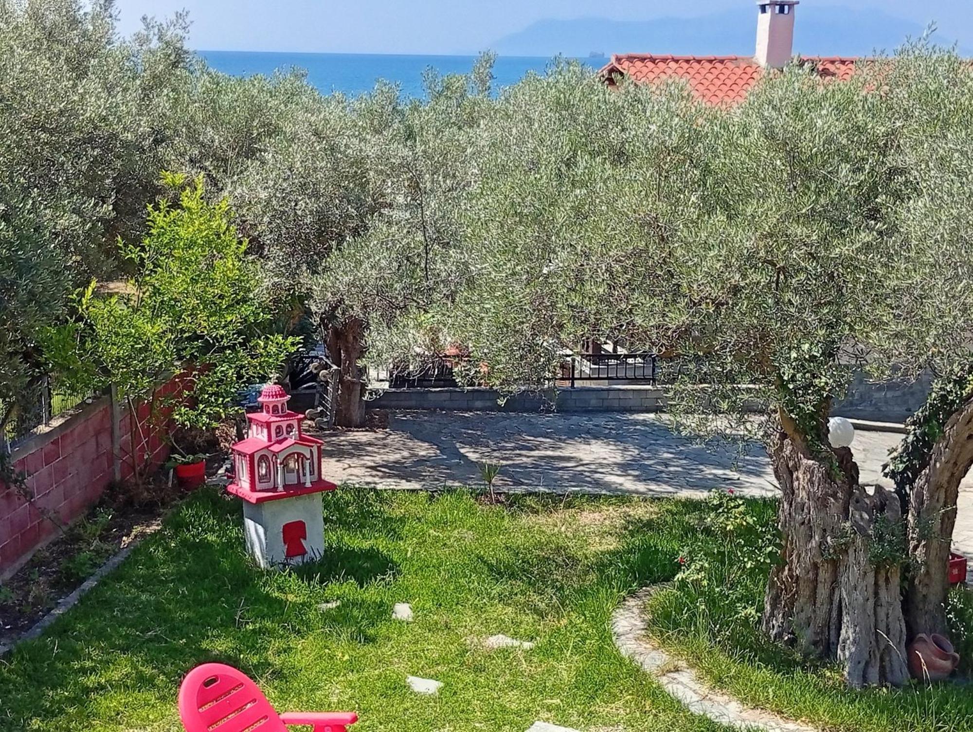 Asimidou Agia Paraskevi (Thrace)